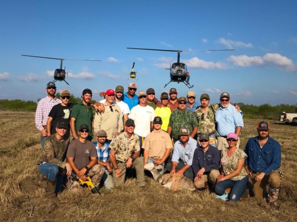 Texas Helicopter Hog Hunt