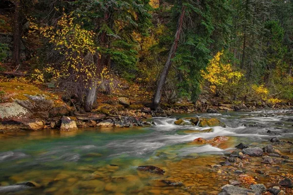 Boulder Fly Fishing