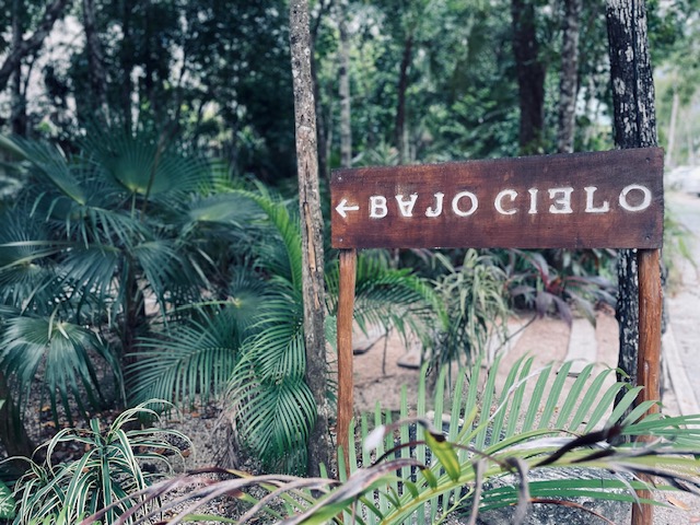 Jungle Lux in Turquoise Tulum for 4 - Image 17