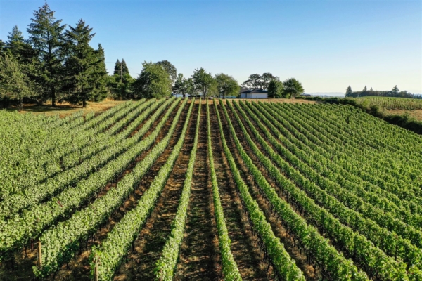 Oregon Wine Getaway for 6