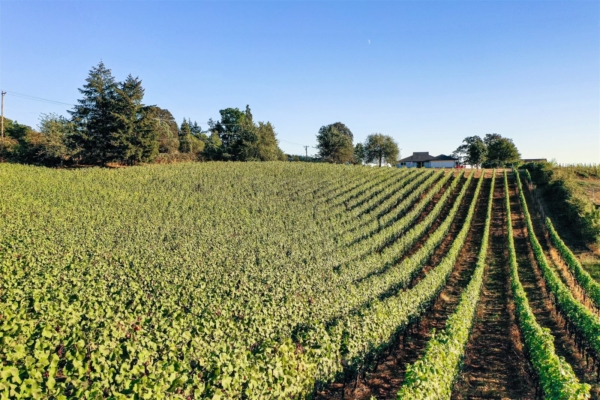 Oregon Wine Getaway for 6