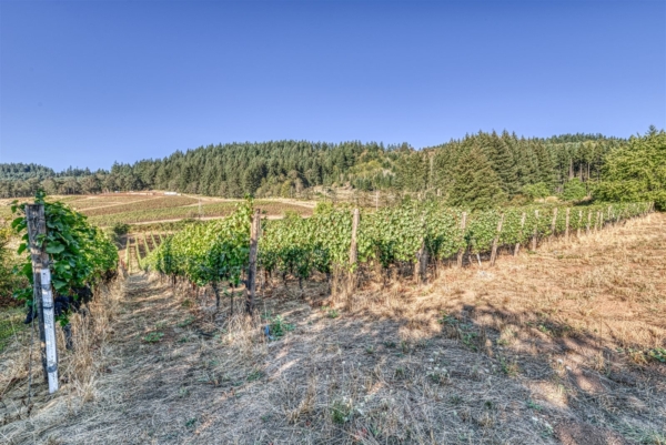 Oregon Wine Getaway for 6