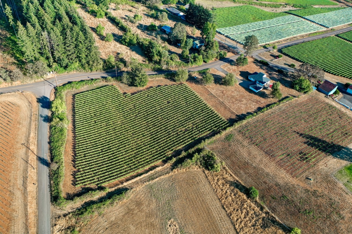 Oregon Wine Getaway for 6