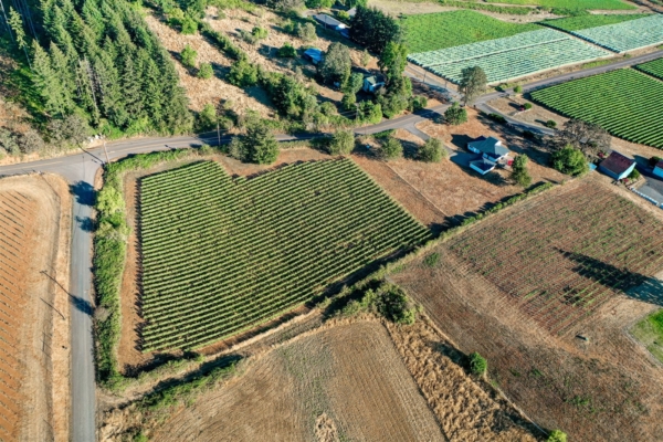 Oregon Wine Getaway for 6