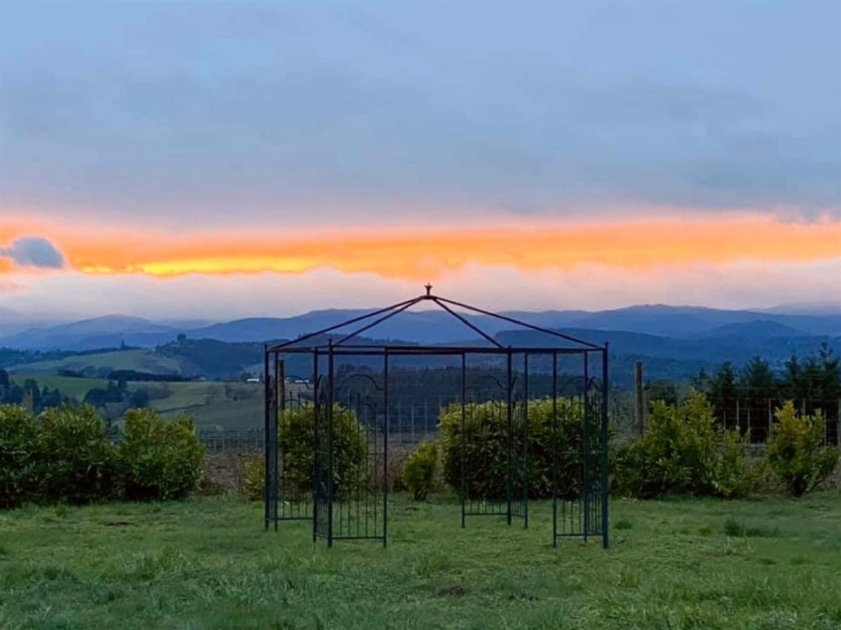 Oregon Wine Getaway for 6