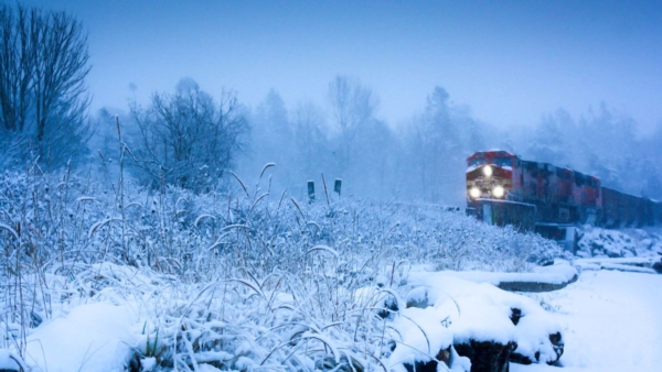 Polar Express Holiday for 4