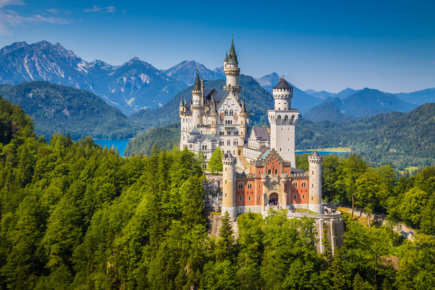 From Vineyards to the Alps for 2