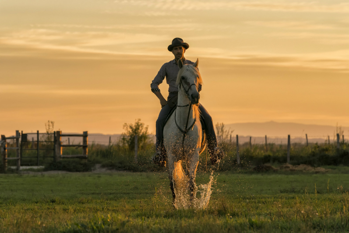 French Cowboy Experience