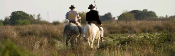 French Cowboy Experience