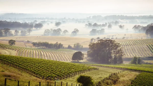 Wine Down Under For 2