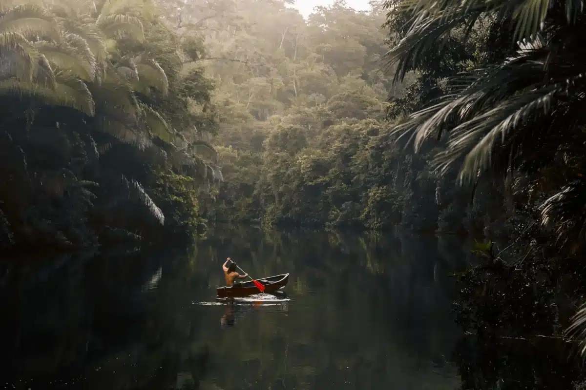 Belize Jungle Lodge for 2