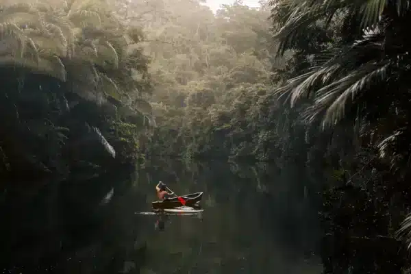 Belize Jungle Lodge for 2