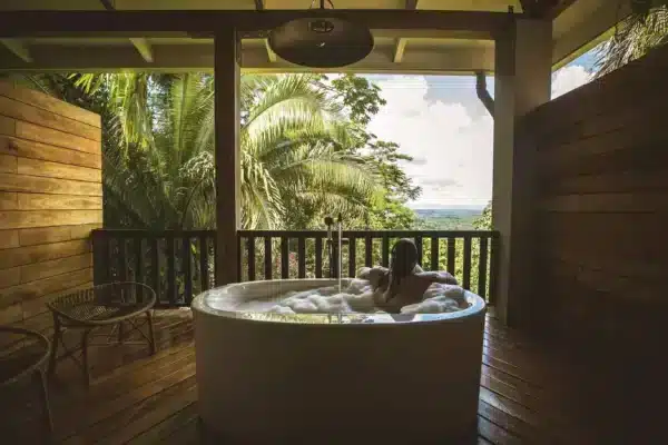 Belize Jungle Lodge for 2