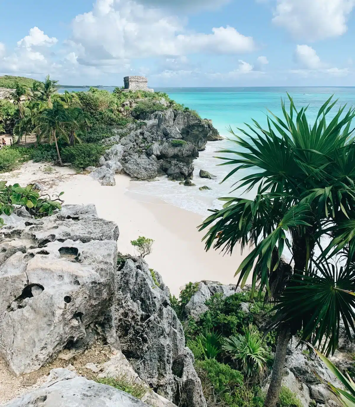 Jungle Lux in Turquoise Tulum for 4