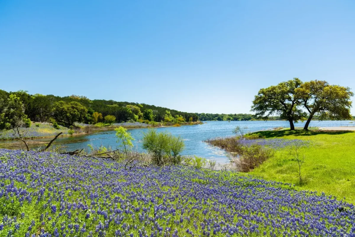 Stargaze Texas for 2