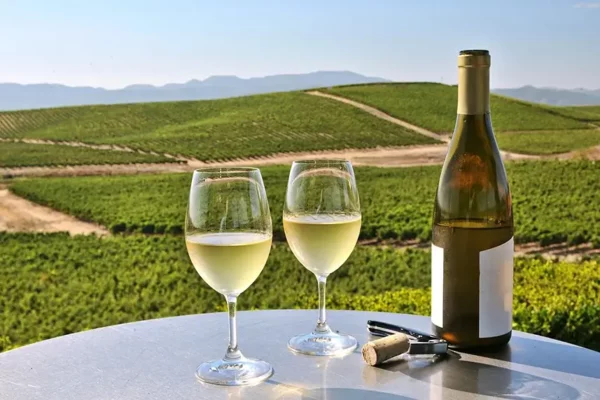 Safari Wine Experience for 2