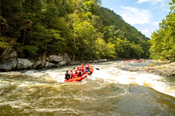 Great Smoky Mountain Glamping