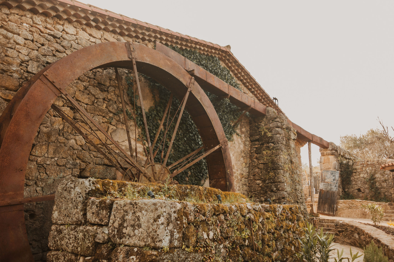 Splendors of Spain - Image 12