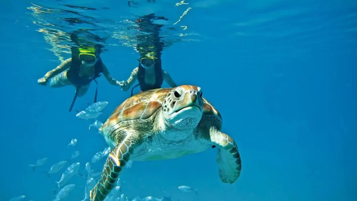 Belize Private Island for 2