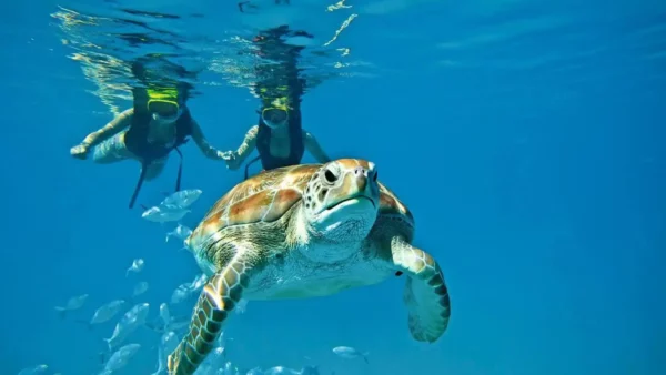 Belize Private Island for 2