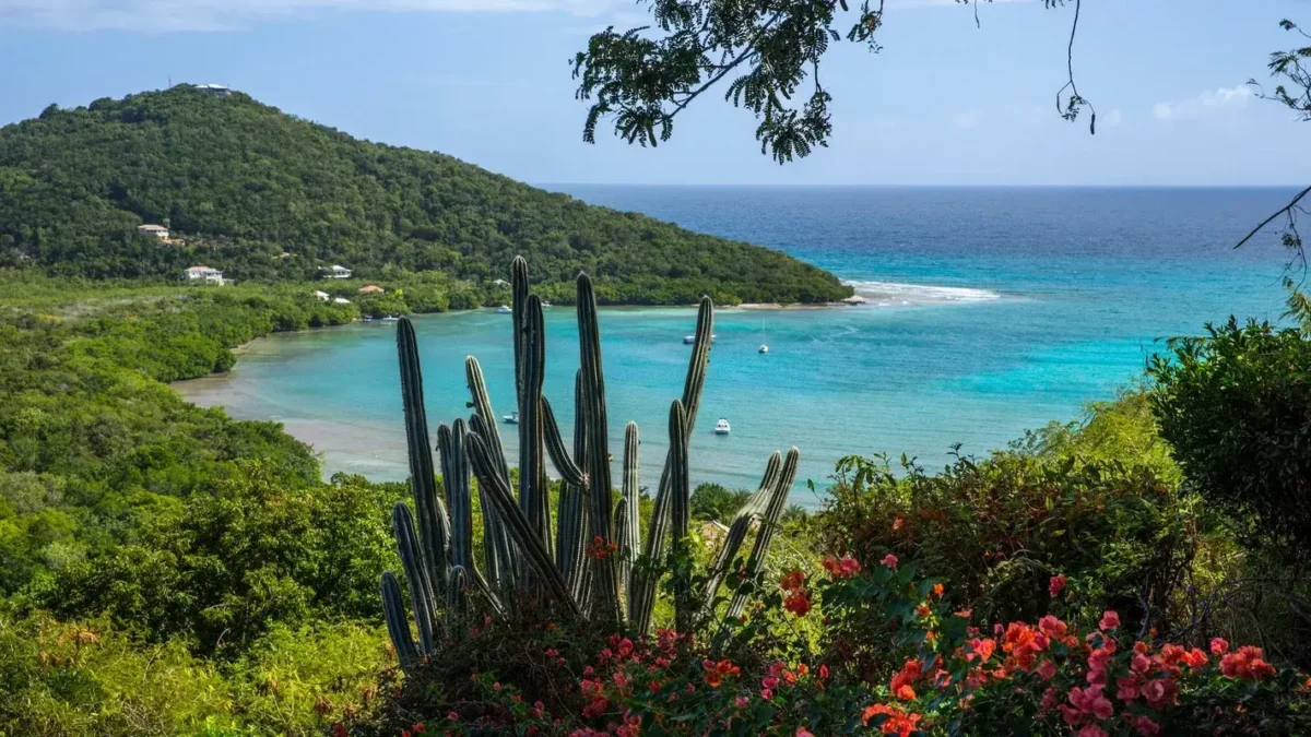 Tranquil St. John for 6